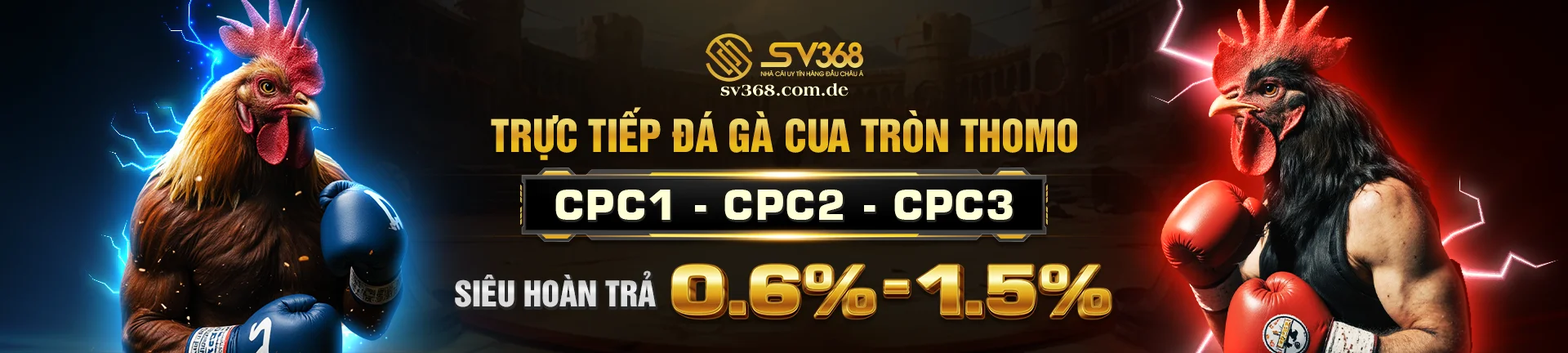 SV368 - Nhà cái đá gà Thomo uy tín | Cá cược, nạp rút an toàn
