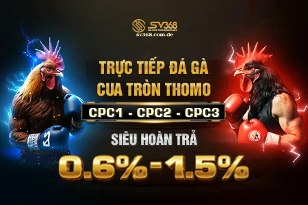 SV368 - Nhà cái đá gà Thomo uy tín | Cá cược, nạp rút an toàn