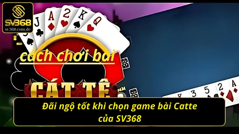Catte SV368 và những đãi ngộ giúp gia tăng trải nghiệm