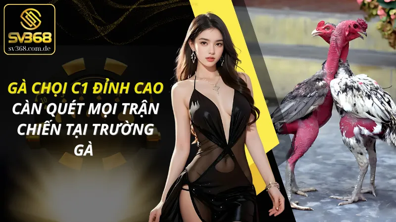 Gà Chọi C1