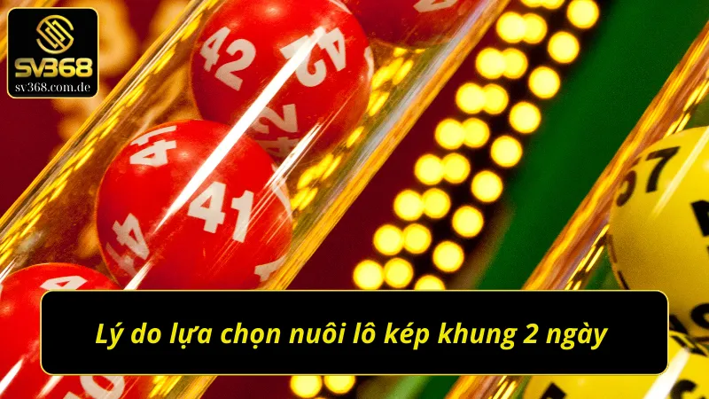 Các lợi ích khi lựa chọn lô kép nuôi khung 2 ngày 