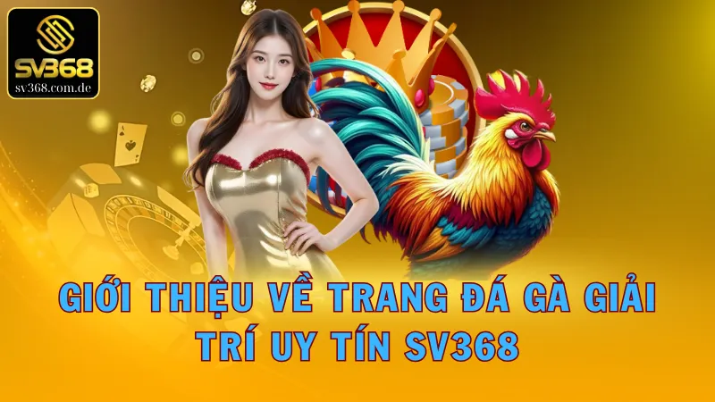 SV368 – Sân chơi cá cược đá gà chất lượng số 1