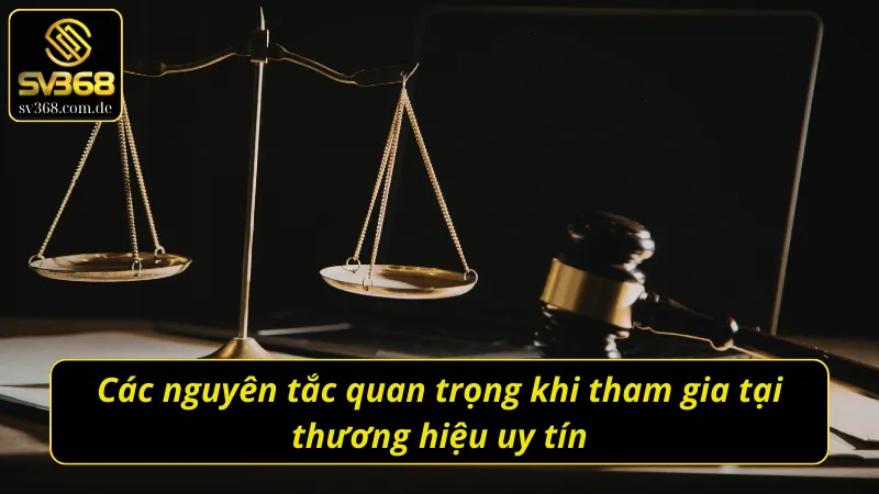 Nguyên tắc cốt lõi giúp giải trí an toàn tại nhà cái